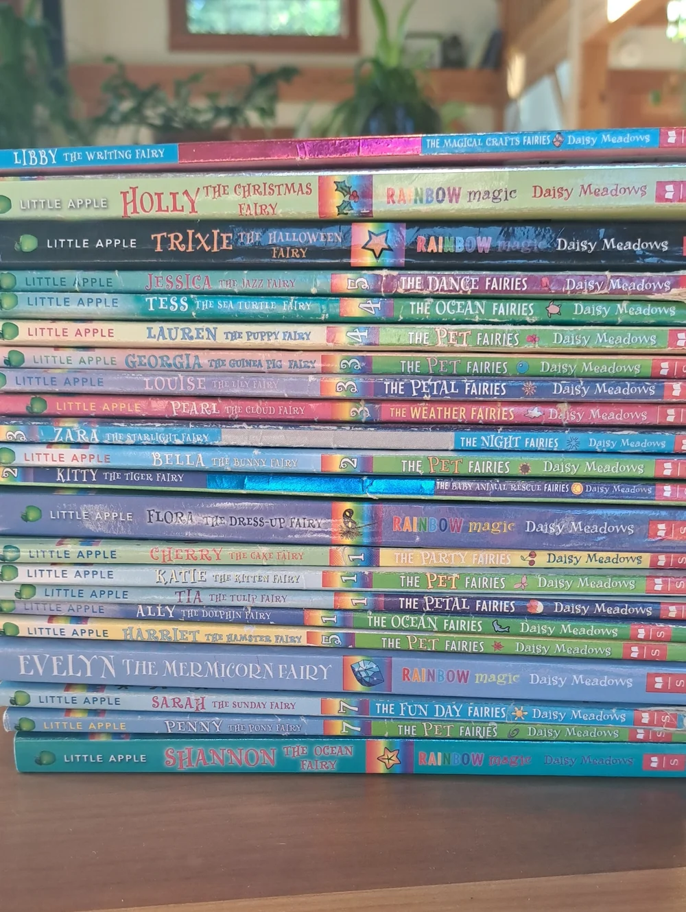 22 Rainbow Fairy Books